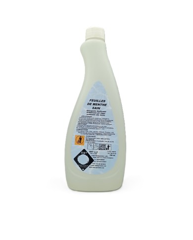 Feuilles de menthe sain - Detergente sanificante brillantante per bagni profumato alla menta